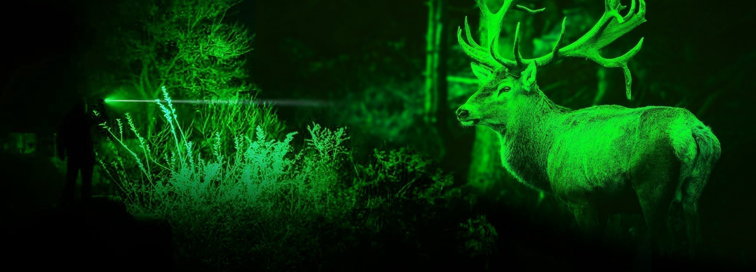13- Why Do Hunters Use Red or Green Light?
