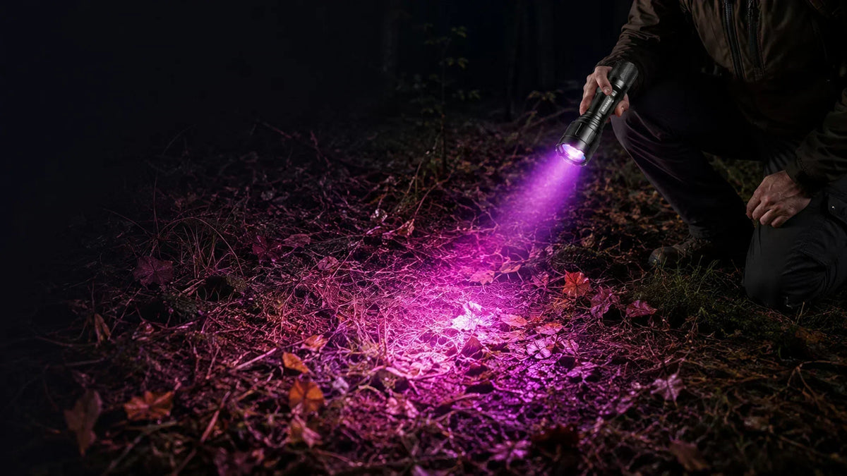 FIELDLUME blood tracking light used in a low-light woodland setting