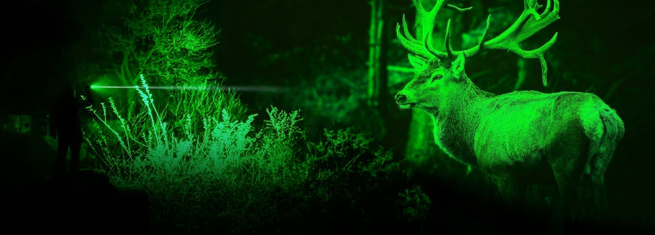 Red vs green flashlight beams for night use — FIELDLUME