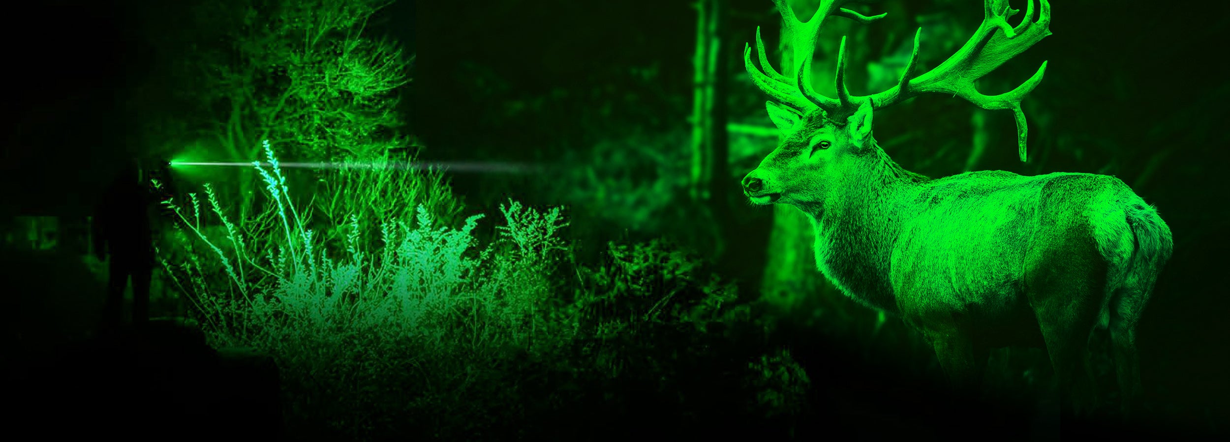 Hunting Lights