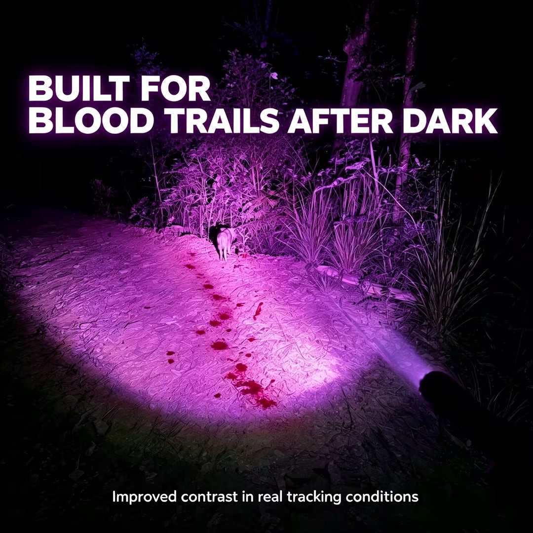 FIELDLUME B1 blood tracking light showing a visible blood trail in real low-light outdoor tracking conditions