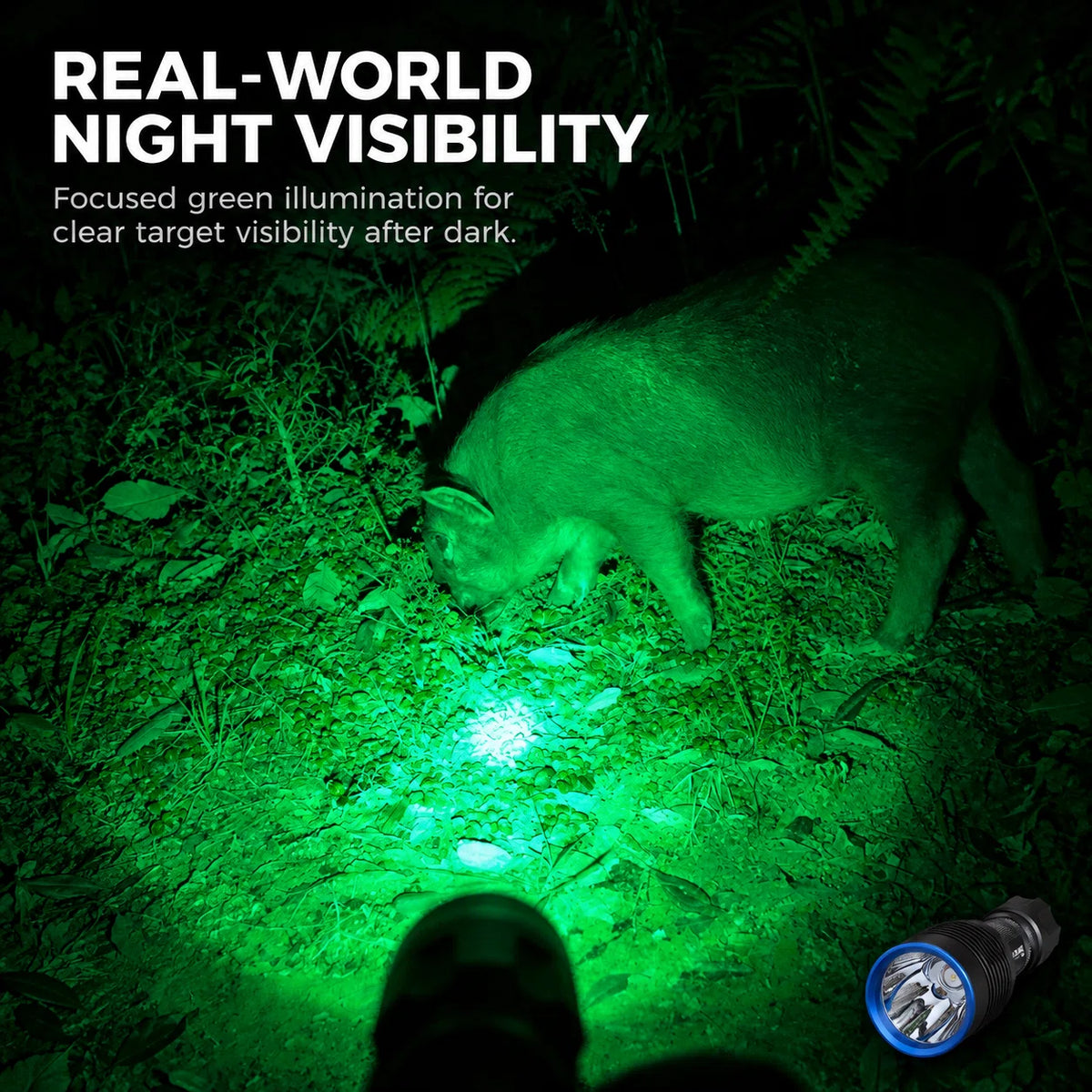FIELDLUME HG1 green hunting light illuminating a wild boar during real-world night use