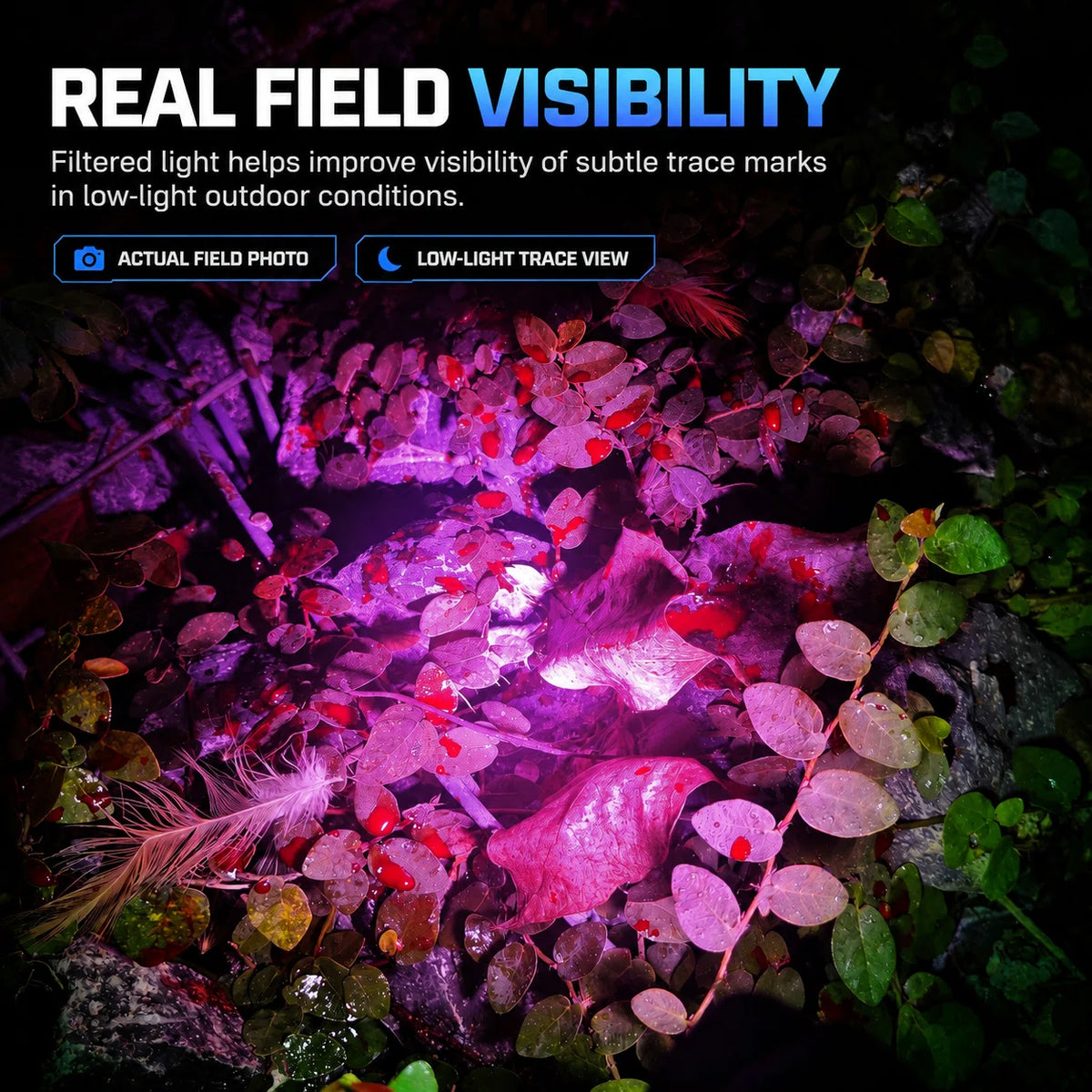 FIELDLUME TAC10-PRO filtered light showing subtle trail visibility across leaves and natural ground cover in a real field photo